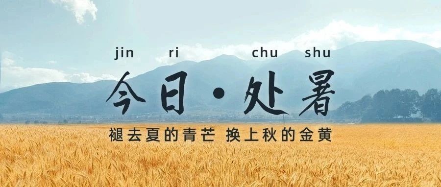 今日处暑|四时俱可喜，最好新秋时