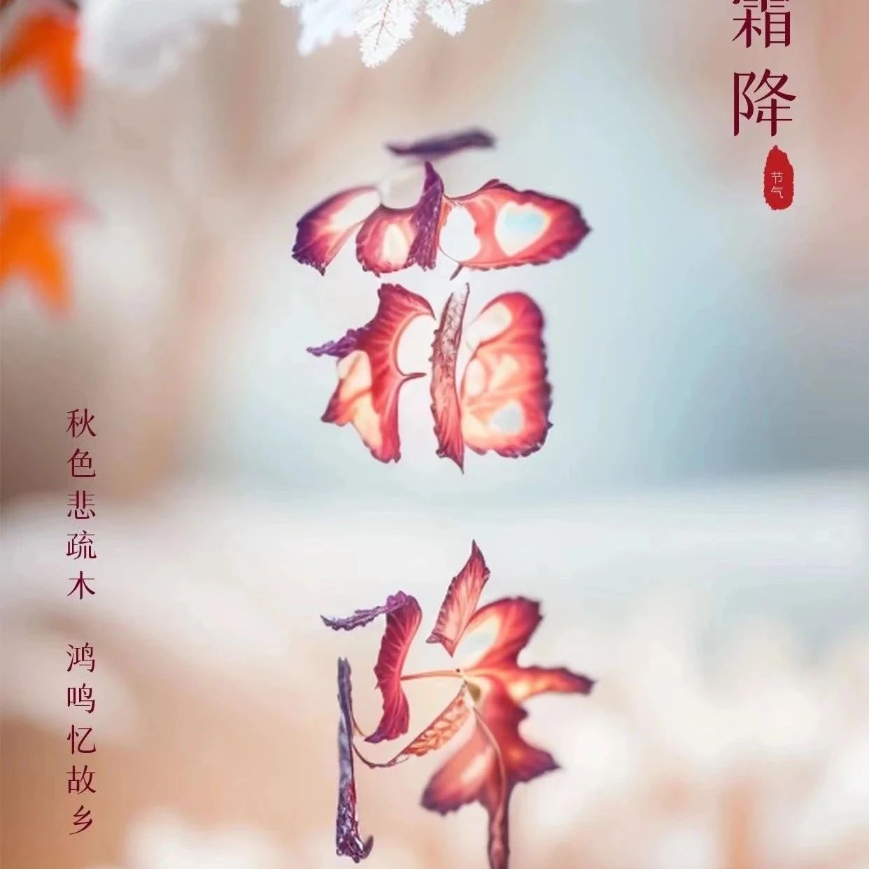 二十四节气 | 霜降