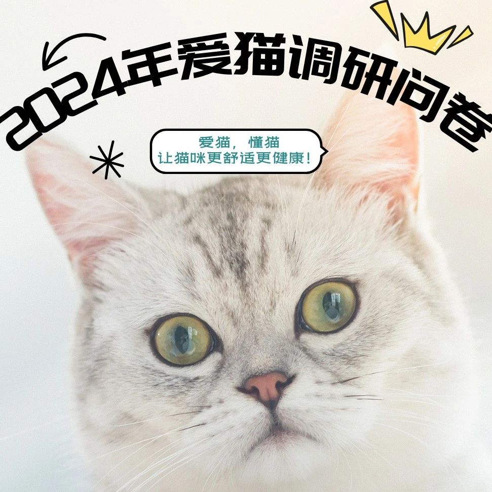 2024年爱猫调研问卷