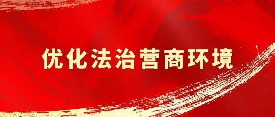 中共中央 国务院关于促进民营经济发展壮大的意见