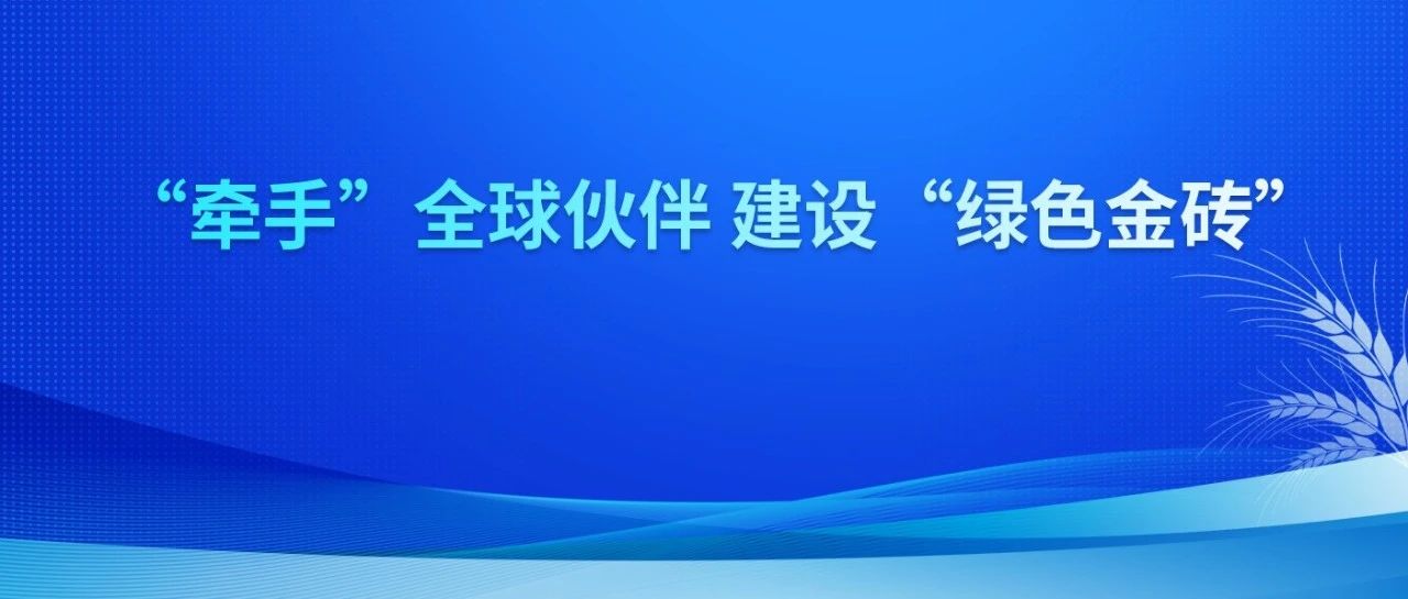 “牵手”全球伙伴，建设“绿色金砖”