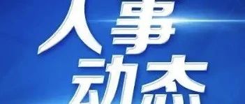 谢松任三峡集团总会计师、党组成员