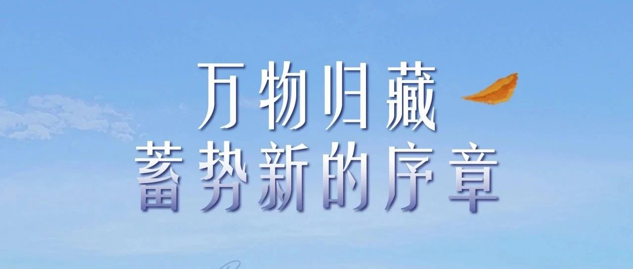 旭阳资讯 | 万物归藏，蓄势新的序章——立冬