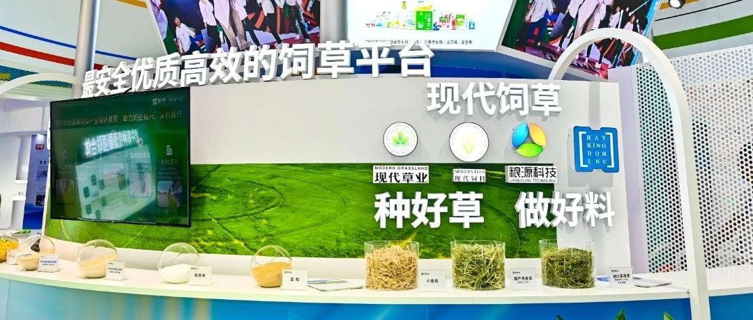 现代饲草：打造优质原奶的秘密武器