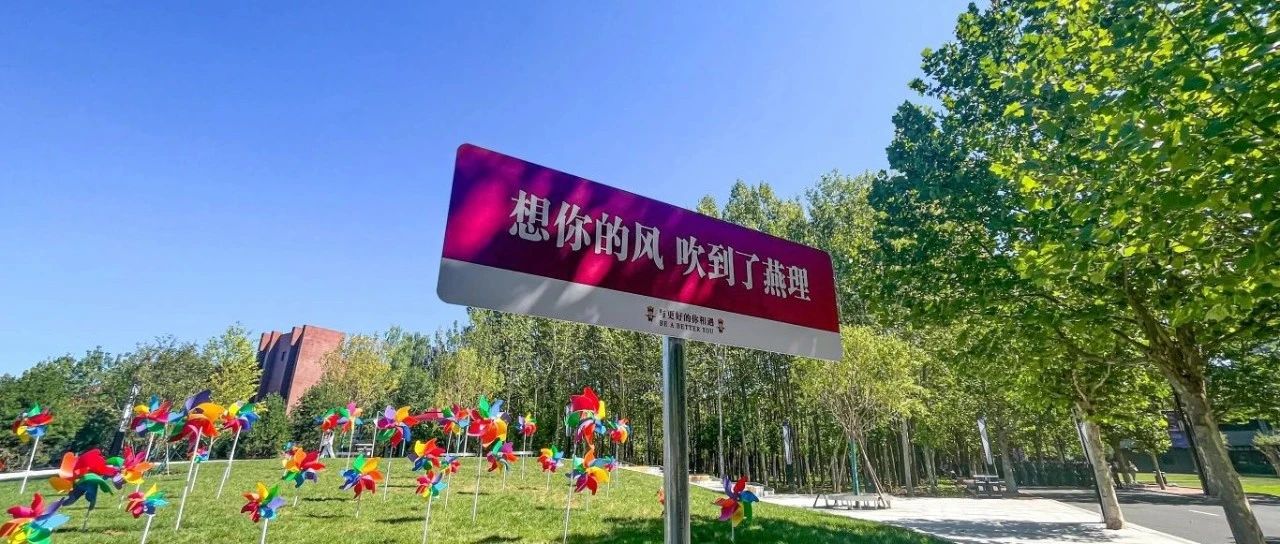 校园限定浪漫