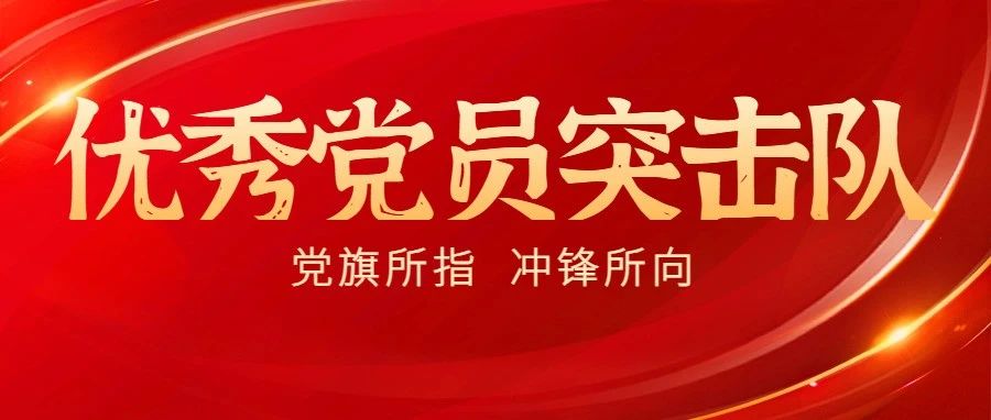 党旗所指 冲锋所向丨优秀党员突击队：华隧绿建公司营销突击队