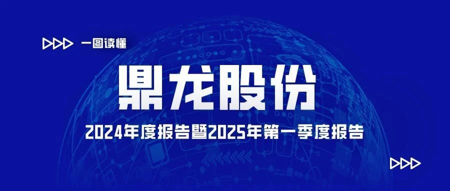 一图读懂丨鼎龙股份2024年度报告暨2025年第一季度报告