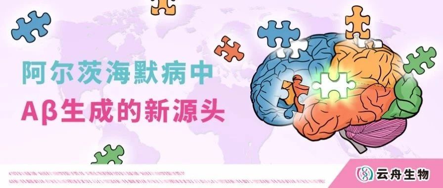 刷新认知！英国伦敦大学首次揭示阿尔茨海默病中Aβ生成的新源头