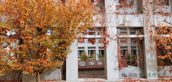 化工报30年图片0.png