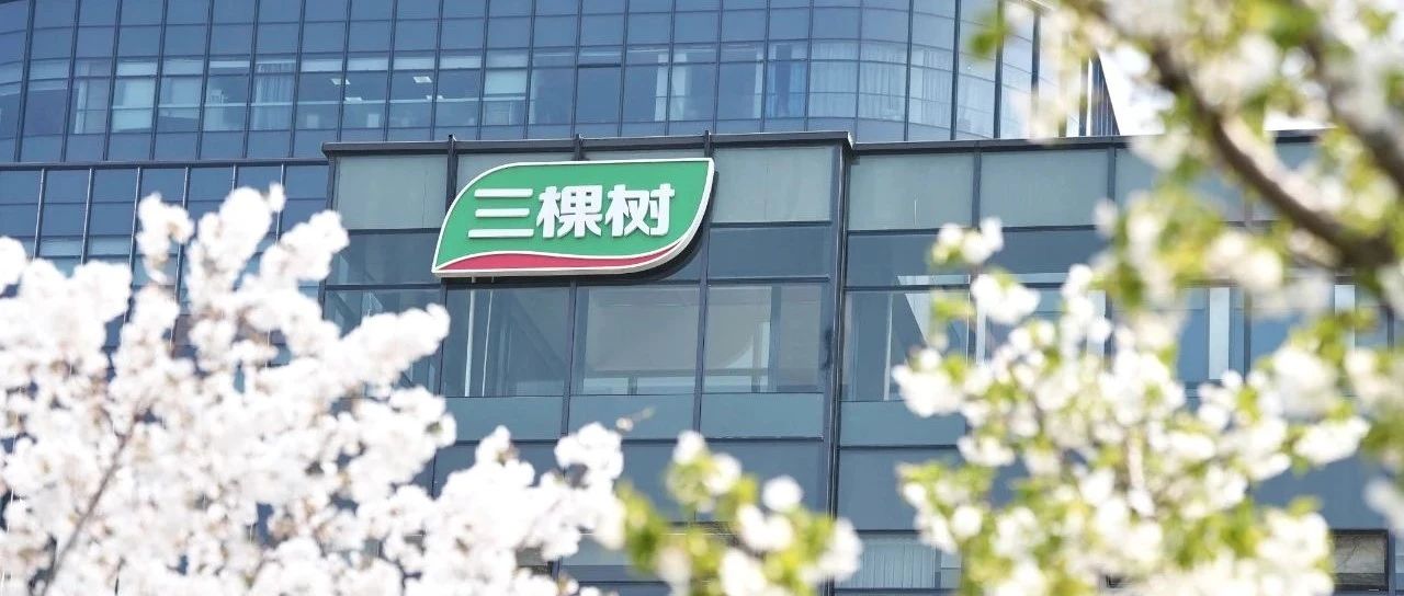 春暖花开时 遇见三棵树上海中心