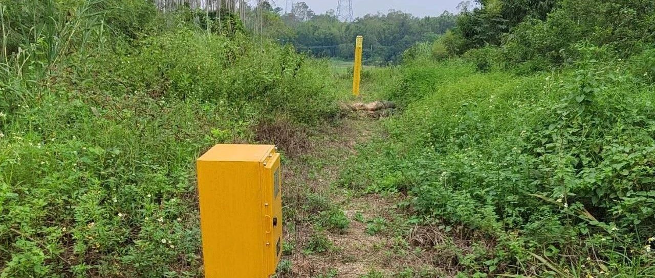 赵海阳：高压输电系统对油气管道交流干扰评估及缓解措施案例