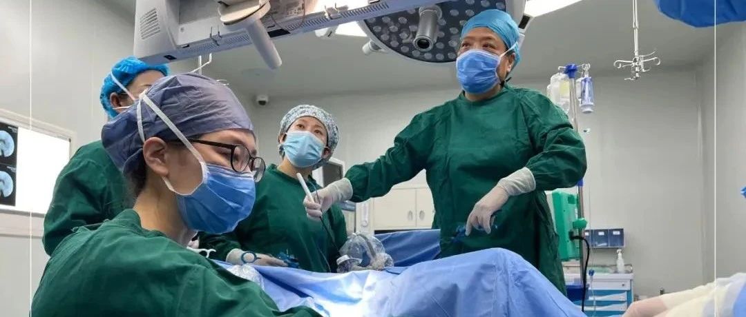 喜讯×3！反复胎停、宫腔粘连、月经锐减，她们在五洲治疗后成功抱娃！