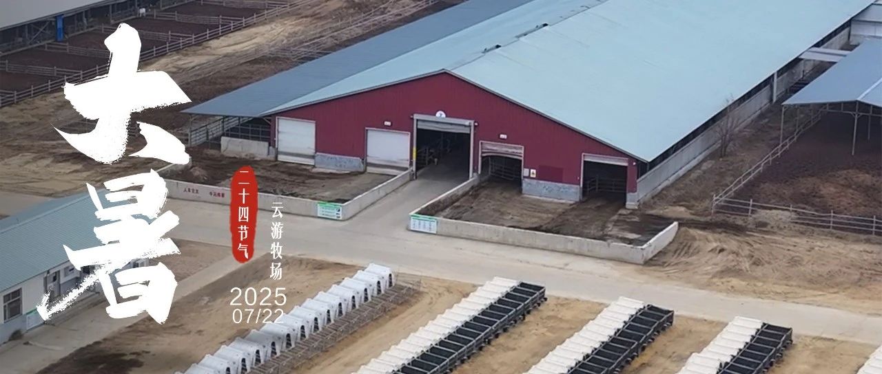 大暑 | 和林一牧：黄金奶源带的科技防暑与生态反哺纪实